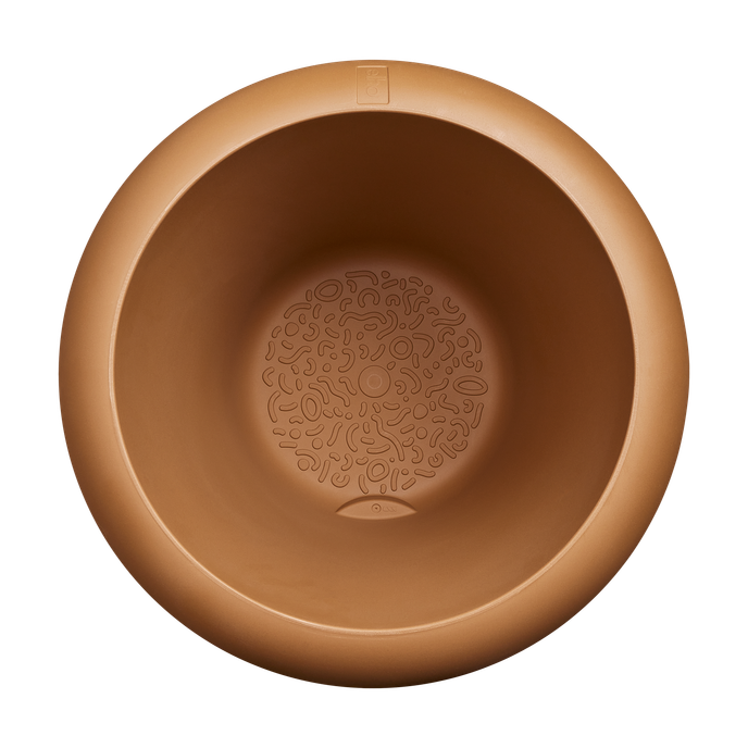 amber roll low 60 caramel